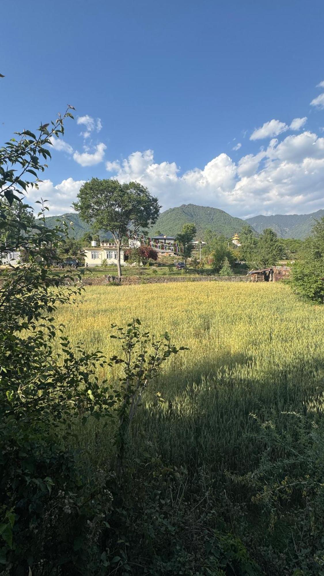 Namlang Resort Bīr エクステリア 写真